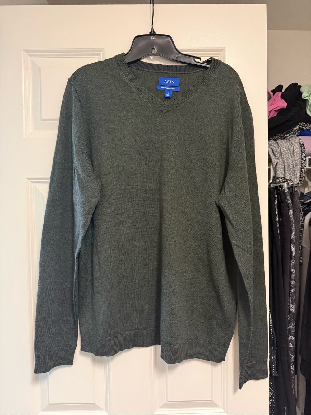 Apt. 9 Men's V-Neck Sweater in Dark Green